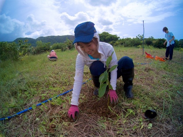 Tree Planting for Coral Reef Protection