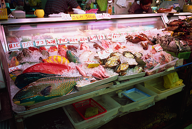 色とりどりの魚